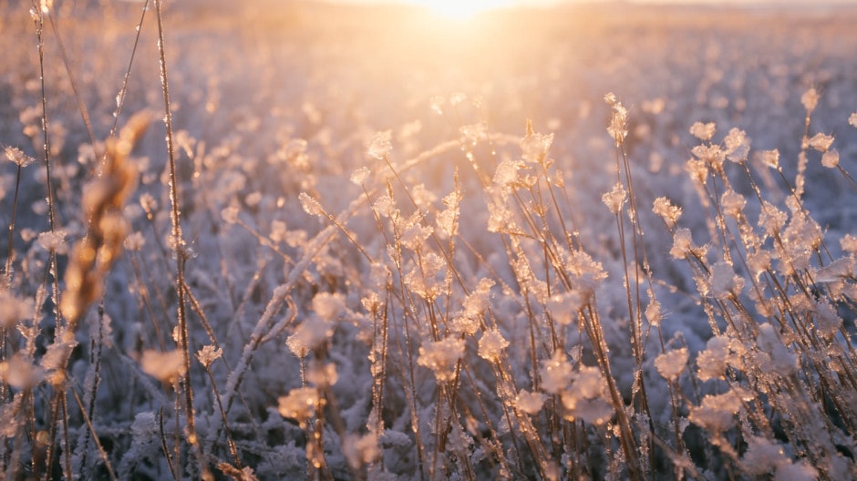 140130_LagunadeGallocanta_041-940x528