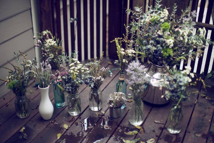 flores silvestres allisonwebber6