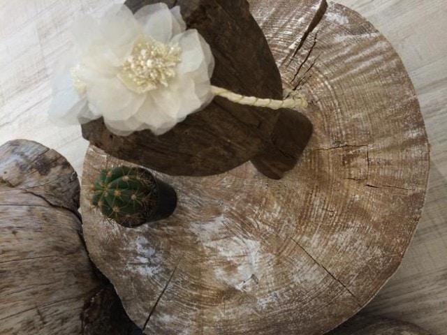 Otaduyaccesoriospelo2