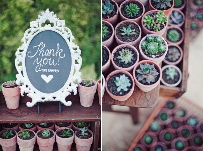 wedding gift plants regalo plantas