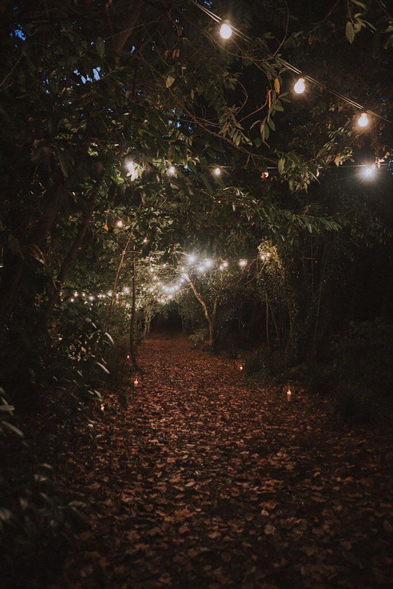 jardín exterior decorado con bombillas en los arboles