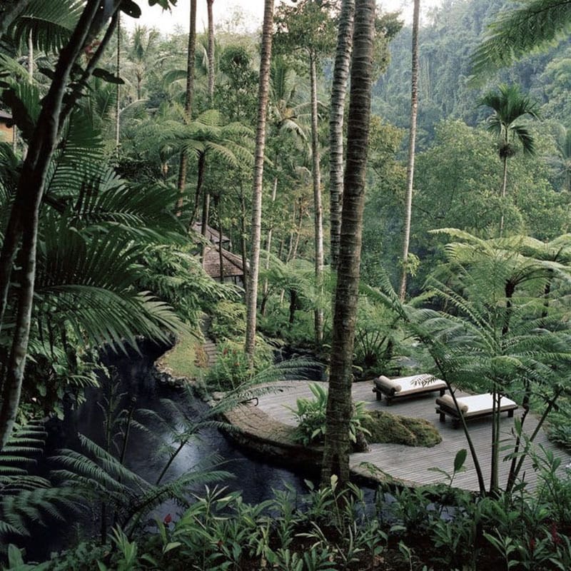 viaje de novios. Gili meno